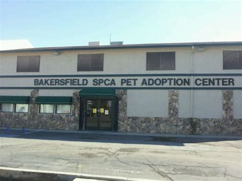 pet shelter bakersfield|Home .